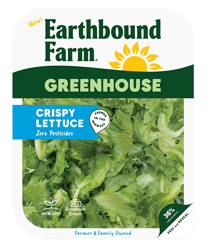 Greenhouse Crispy Lettuce